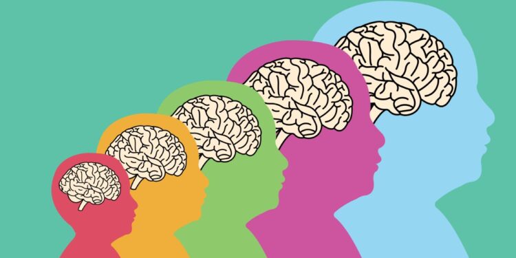 Las cinco edades del cerebro: un mapa inesperado del desarrollo humano