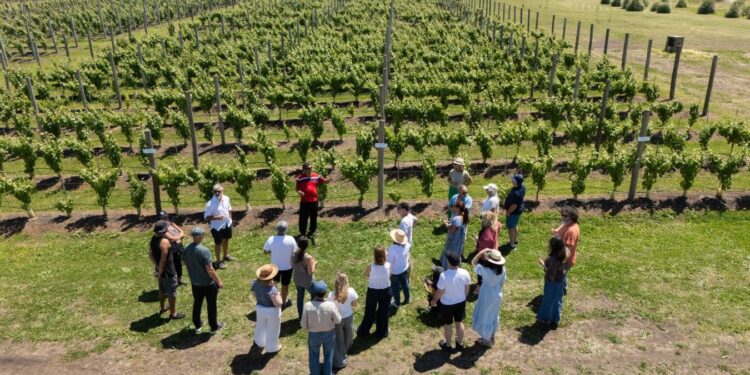 Madariaga excepcional: el pueblo perdido que ahora tiene la primera bodega oceánica abierta al turismo, en un terroir atípico