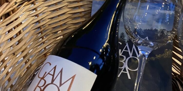 Bodega Gamboa se consolida entre las más visitadas de la Argentina