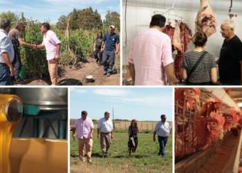 Alianza estratégica: La bodega Gamboa apuesta por el «Kilómetro Cero» en Madariaga