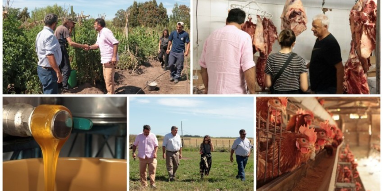 Alianza estratégica: La bodega Gamboa apuesta por el «Kilómetro Cero» en Madariaga