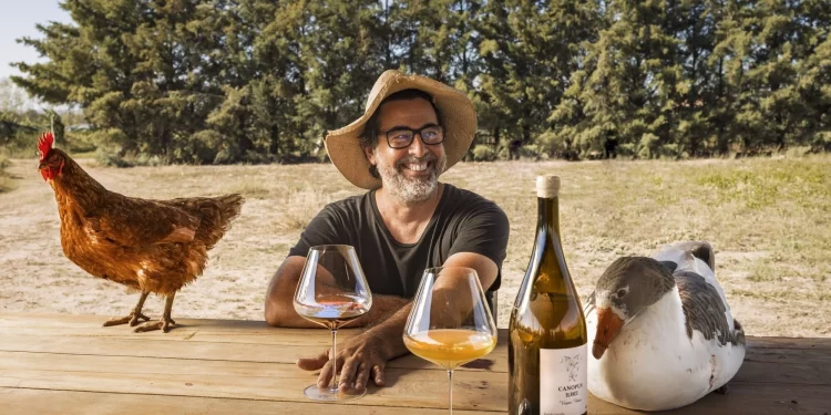 Gabriel Dvoskin, de corresponsal de guerra a arquitecto del vino