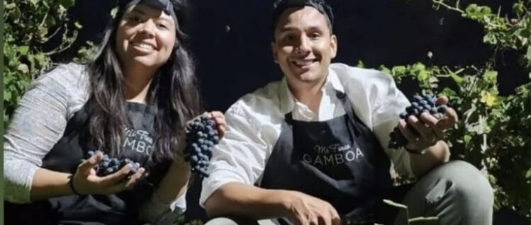 Vendimia, donde todo comienza