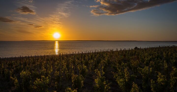 Cuenta regresiva: faltan 4 días para el Encuentro de Vinos Oceánicos