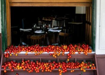 Don Julio: Una fiesta tan simple que se vuelve importante, «la historia de nuestras vidas y los tomates de la abuela»