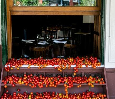 Don Julio: Una fiesta tan simple que se vuelve importante, «la historia de nuestras vidas y los tomates de la abuela»