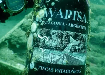 Bodega Wapisa, protagonista del nuevo mapa oceánico del vino argentino