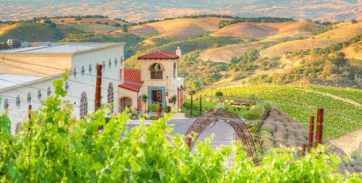 Cuando el vino multiplica fortunas: el caso Daou