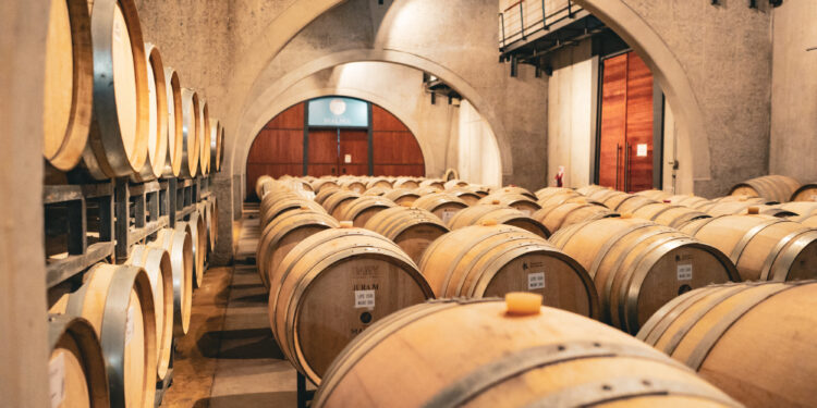 La Vendimia comienza en los viñedos: Bodega Malma presenta la “Apertura Vendimia”