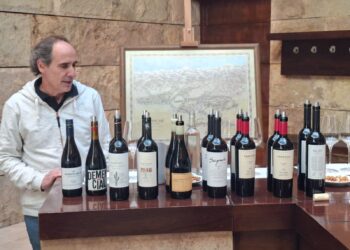 El nuevo mapa del Malbec argentino