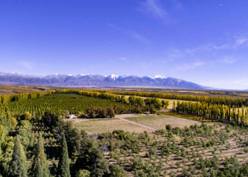 Salentein apuesta al Cabernet Franc y redefine su línea Killka