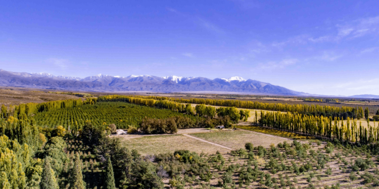 Salentein apuesta al Cabernet Franc y redefine su línea Killka