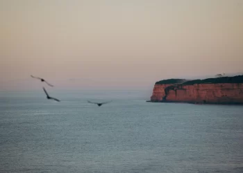 ¿Se puede hacer vino en la costa bonaerense? La respuesta ya está cambiando todo
