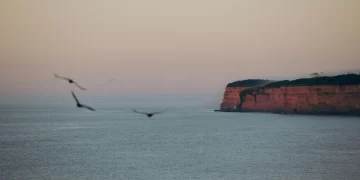 ¿Se puede hacer vino en la costa bonaerense? La respuesta ya está cambiando todo