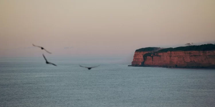 ¿Se puede hacer vino en la costa bonaerense? La respuesta ya está cambiando todo