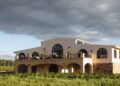 El Pinot Gris encontró su lugar en Argentina: la historia de la apuesta silenciosa de Piedra Negra