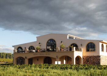 El Pinot Gris encontró su lugar en Argentina: la historia de la apuesta silenciosa de Piedra Negra