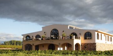 El Pinot Gris encontró su lugar en Argentina: la historia de la apuesta silenciosa de Piedra Negra