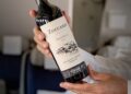 Familia Zuccardi despega con Aerolíneas: el vino argentino conquista las alturas