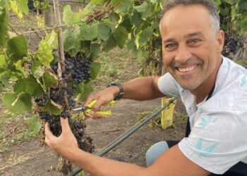 “Gamboa huele a Madariaga”: el vino, los amigos y una nueva forma de vivir el lugar donde naciste