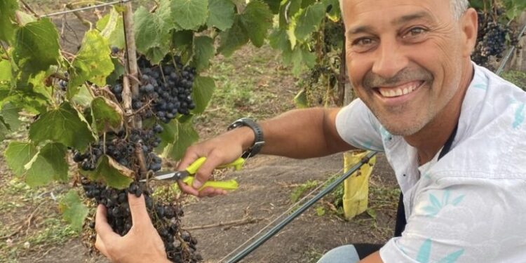 “Gamboa huele a Madariaga”: el vino, los amigos y una nueva forma de vivir el lugar donde naciste