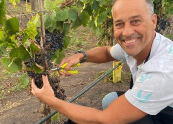 "Gonzalo Villasol en la primera cosecha de Bodega Gamboa Costa Atlántica, viviendo el espíritu pionero del vino oceánico.”