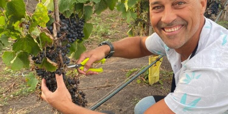 "Gonzalo Villasol en la primera cosecha de Bodega Gamboa Costa Atlántica, viviendo el espíritu pionero del vino oceánico.”
