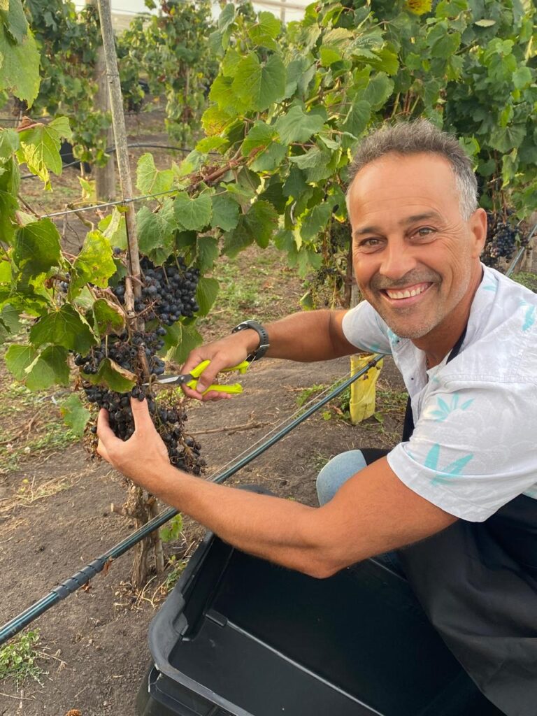 "Gonzalo Villasol en la primera cosecha de Bodega Gamboa Costa Atlántica, viviendo el espíritu pionero del vino oceánico.”