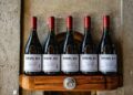 El Pinot Noir argentino conquista Londres: dos etiquetas de Domaine Nico fueron premiadas en uno de los concursos más prestigiosos del mundo