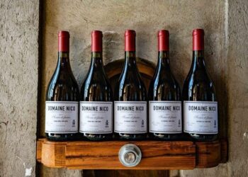 El Pinot Noir argentino conquista Londres: dos etiquetas de Domaine Nico fueron premiadas en uno de los concursos más prestigiosos del mundo