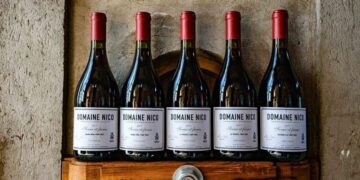 El Pinot Noir argentino conquista Londres: dos etiquetas de Domaine Nico fueron premiadas en uno de los concursos más prestigiosos del mundo