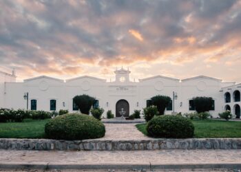Bodega El Esteco obtuvo 97 puntos de Tim Atkin para su Partida Limitada Chardonnay 2025