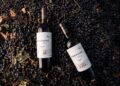 Bodega Trapiche presenta: La Selección Nacional de los Vinos