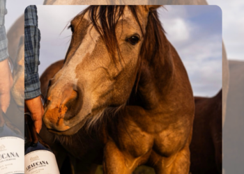 Caballos, grandes vinos y Patagonia: una experiencia única en Ribera del Cuarzo