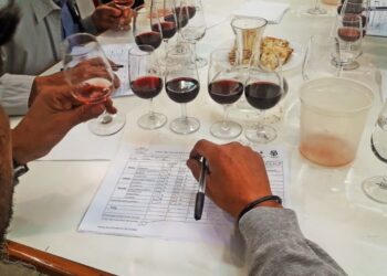 Presentan una nueva edición del Concurso Nacional de Vinos Cata San Juan