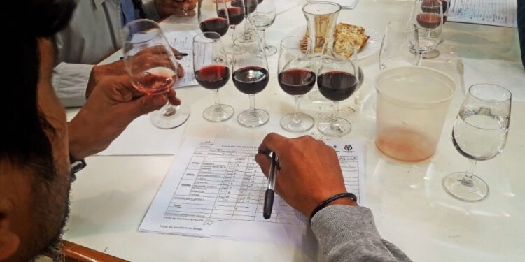 Presentan una nueva edición del Concurso Nacional de Vinos Cata San Juan