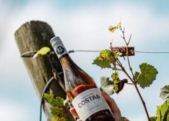 El Albariño de Trapiche Costa & Pampa: El pulso oceánico que consagró a Chapadmalal en la cima de la viticultura extrema