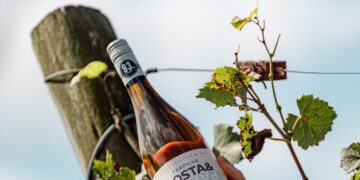 El Albariño de Trapiche Costa & Pampa: El pulso oceánico que consagró a Chapadmalal en la cima de la viticultura extrema
