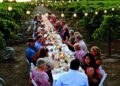 El vino como destino: una industria que une paisaje, gastronomía y turismo