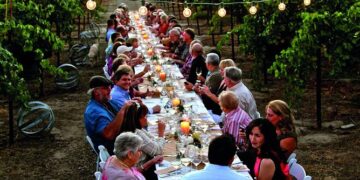 El vino como destino: una industria que une paisaje, gastronomía y turismo