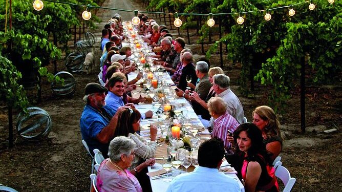 El vino como destino: una industria que une paisaje, gastronomía y turismo