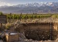 Raíces del Vino vuelve a Buenos Aires con foco en Agrelo y Los Chacayes