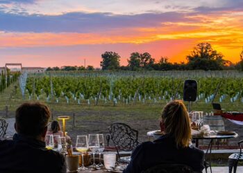 Primavera entre viñedos: 10 bodegas bonaerenses para una escapada de fin de semana