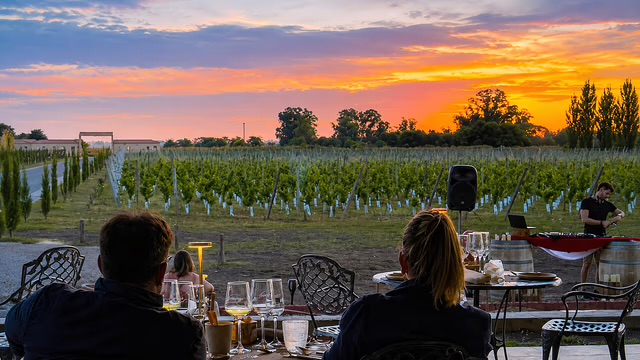 Primavera entre viñedos: 10 bodegas bonaerenses para una escapada de fin de semana