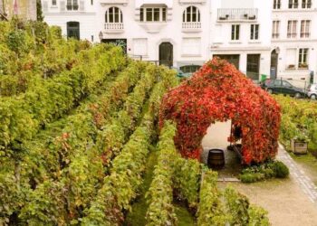 Los viñedos urbanos ganan terreno y Buenos Aires mira a 2027