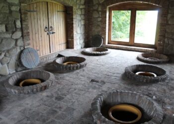 Trotamundos: recorrer el mundo con el vino como guía