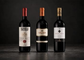 Italia: robaron 30.000 botellas de vino por un valor de 5 millones de euros