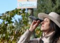 Chimehuin Wines: el desafío de hacer vino en la cordillera neuquina