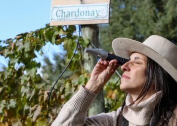 Chimehuin Wines: el desafío de hacer vino en la cordillera neuquina