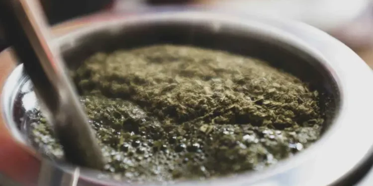 Matear 2026 vuelve a La Rural con 77 marcas y actividades para los amantes del mate